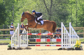 Jenny McBride scoops first place in the NAF Five Star Bronze League Qualifier at Felbridge Showground